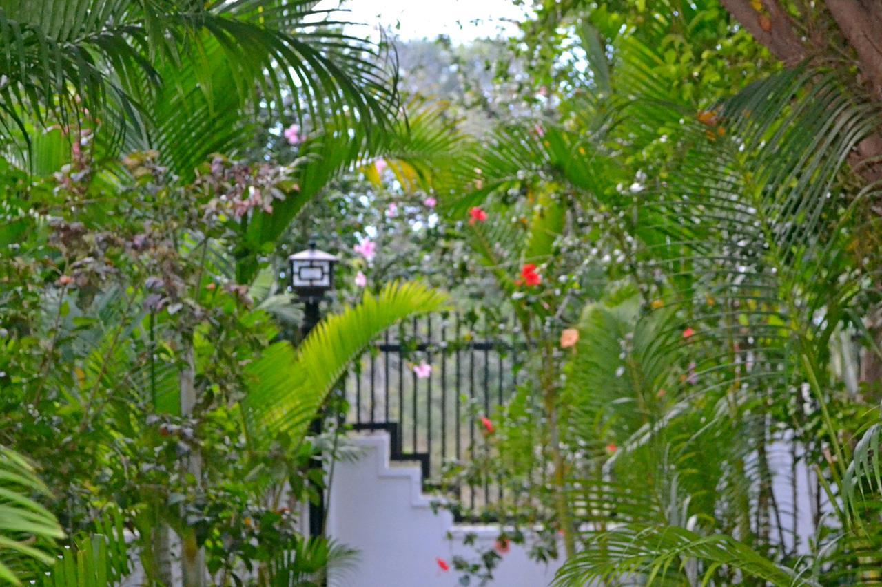 Nature Boutique Residence Siem Reap Ngoại thất bức ảnh